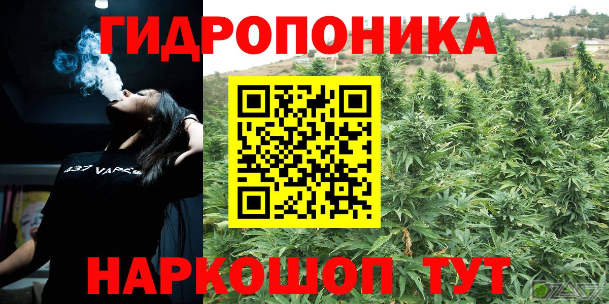 Шишки марихуана SATIVA & INDICA Кудрово